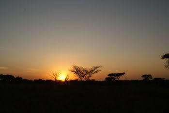 Robanda Tented Camp Extérieur photo
